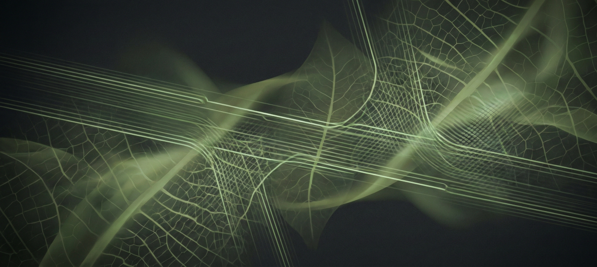 A reflection on the healing space between meals.